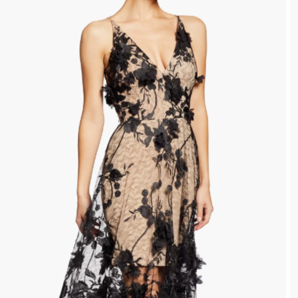 Dress the Population Audrey Embroidered Fit & Flare Dress